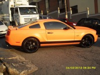 /album/galeria-de-fotos-pagina-inicial/mustang-branco-p-laranja-9-jpg/
